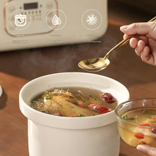 Load image into Gallery viewer, စွယ်စုံချက် စုံတွဲပေါင်းအိုး- WHE0399