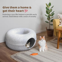 Load image into Gallery viewer, ကြောင် ဒိုးနပ်ကွင်း- WHE0346