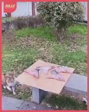 Load and play video in Gallery viewer, ငါးခြောက်လှမ်းစင်(WHE0090)