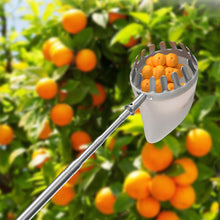 Load image into Gallery viewer, စတီးလ် သစ်သီးခူးတံ(WHE0085)