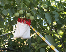 Load image into Gallery viewer, စတီးလ် သစ်သီးခူးတံ(WHE0085)