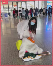 Load and play video in Gallery viewer, ခရီးဆောင်ခေါက်အိတ်-WHE0546
